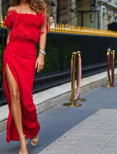 Load image into Gallery viewer, Long Party  Dress With Feathers..