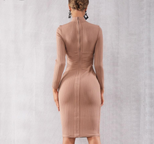 Load image into Gallery viewer, Sophisticated Long Sleeve Mock Neck Knit  Dress                 Black or Nude