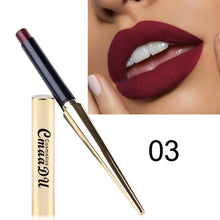 Load image into Gallery viewer, 12 Colors Matte Lipstick Waterproof
